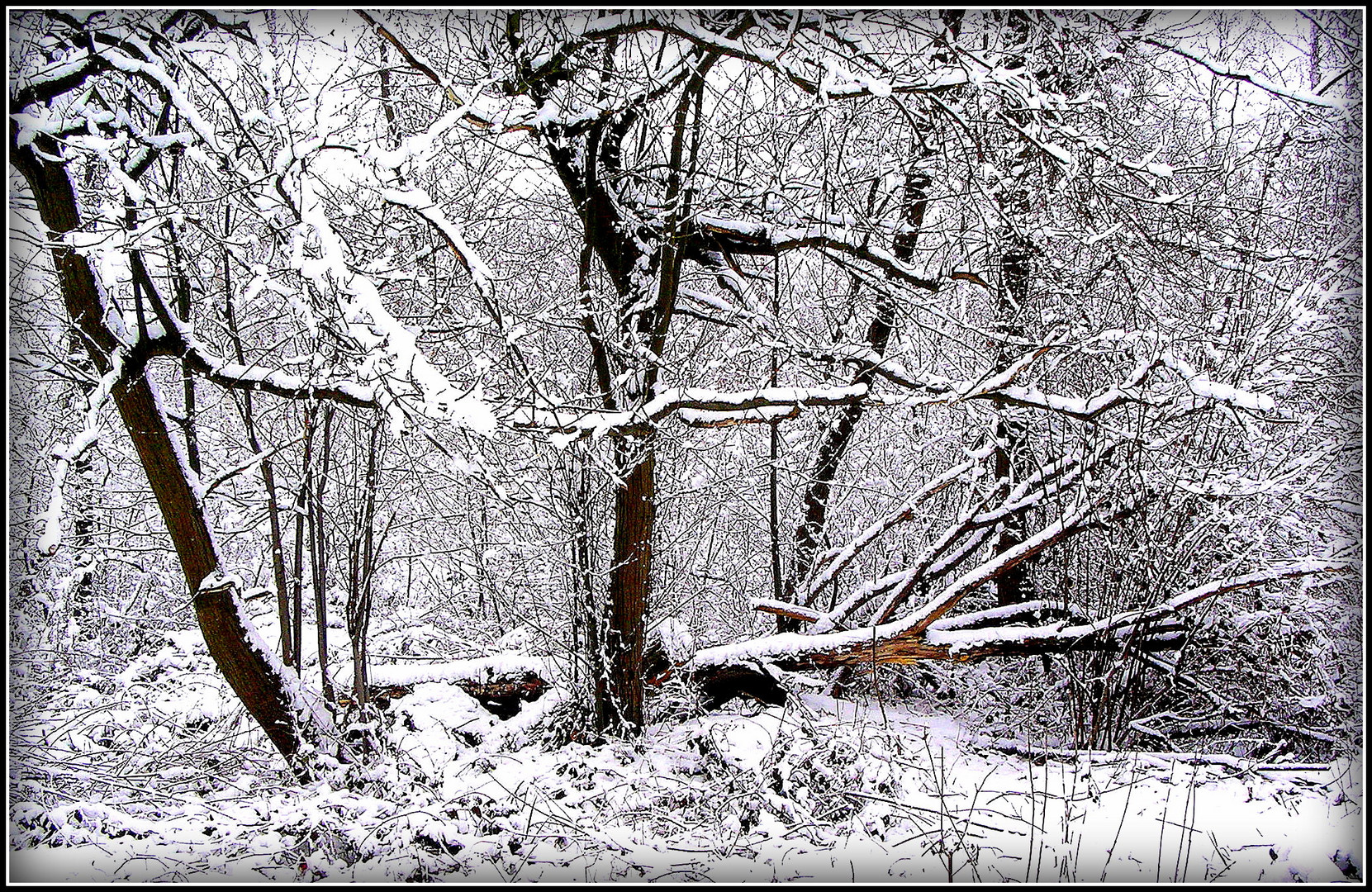 Un peu de neige 