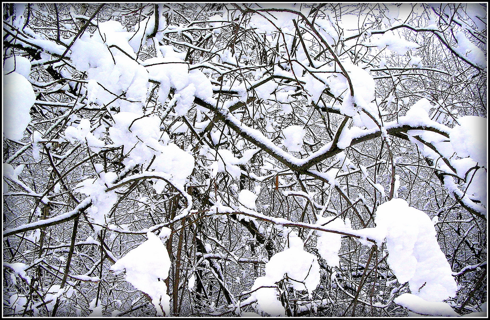 Un peu de neige 