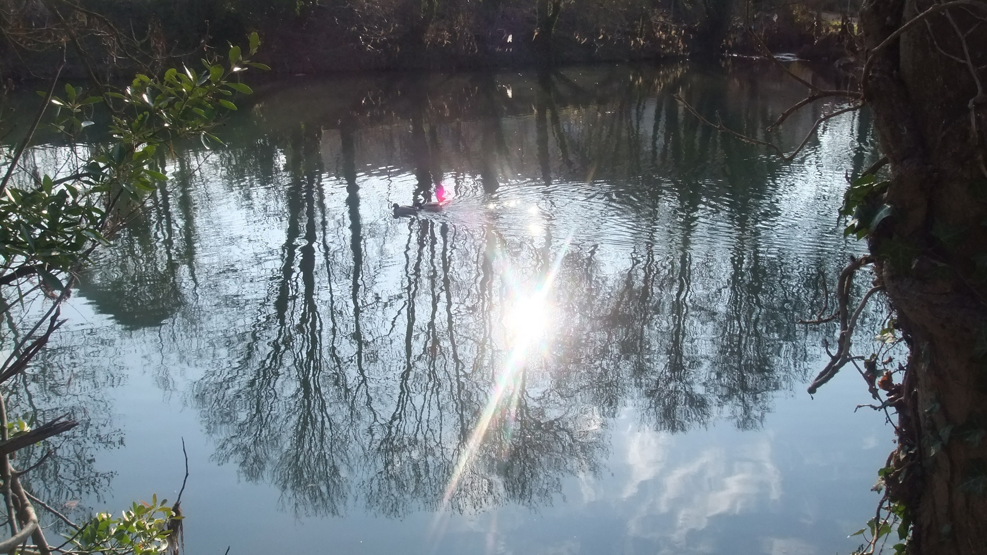 Un peu de plus le soleil me tombais sur la tête!!!!!!