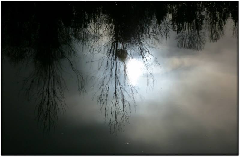 un peu de soleil dans l'eau froide