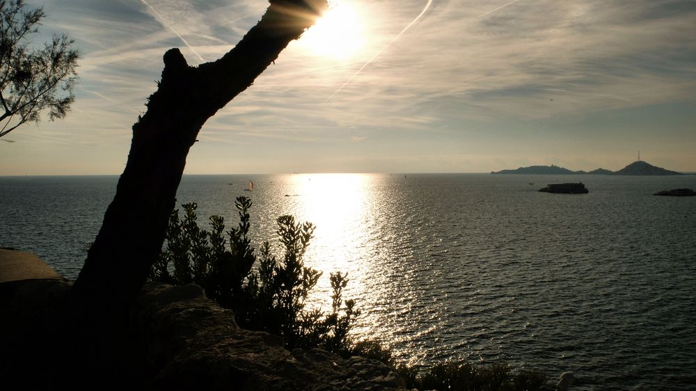 Un peu de soleil dans l'eau froide...