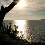 Un peu de soleil dans l'eau froide...