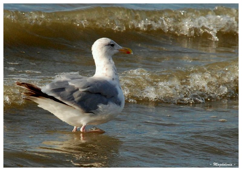 Un peu de thalassothérapie