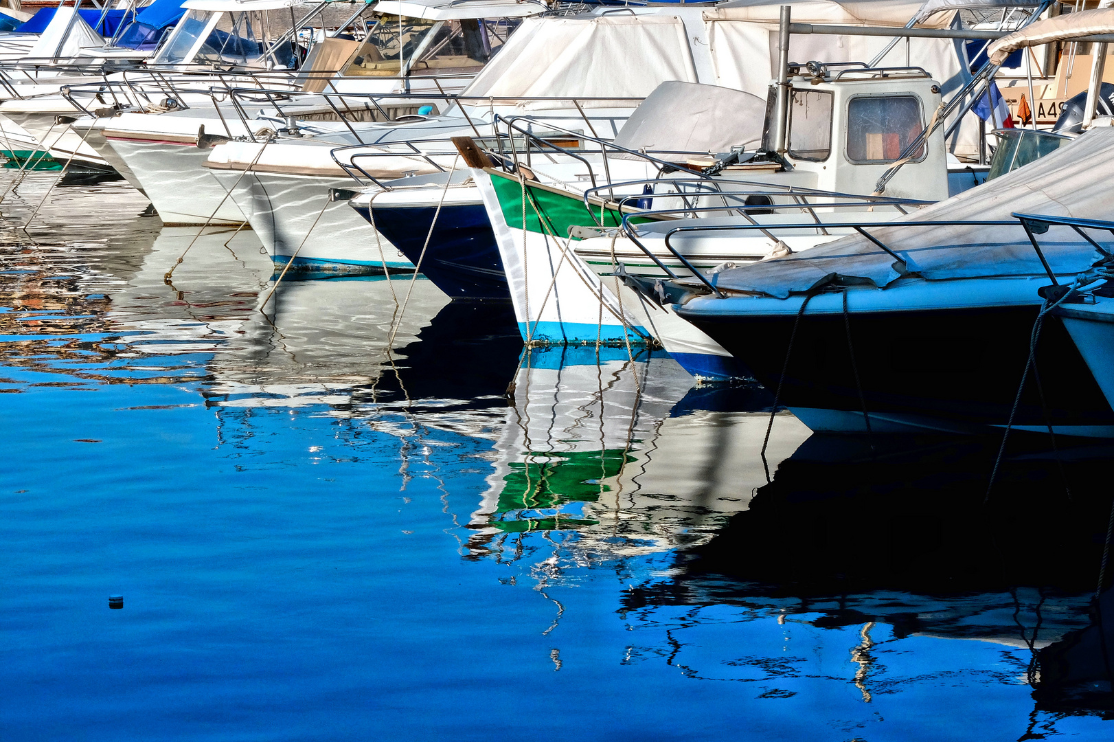 Un peu de vert dans l'eau bleu...