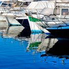 Un peu de vert dans l'eau bleu...