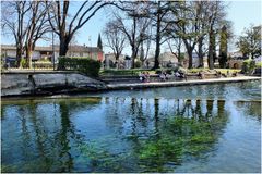 Un peu de vert dans l'eau bleue...