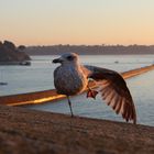 un peu d'étirements