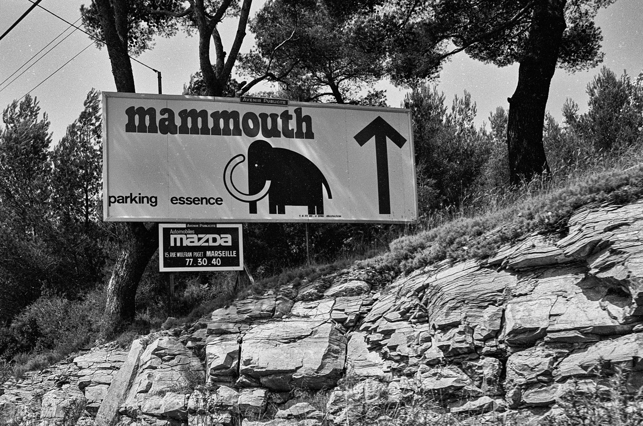 un peu d'histoire: la disparition des mammouths