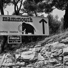 un peu d'histoire: la disparition des mammouths