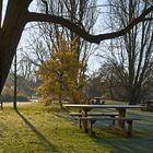 Un peu frais pour le pique-nique  --  Jardin botanique de l’Université de Cambridge