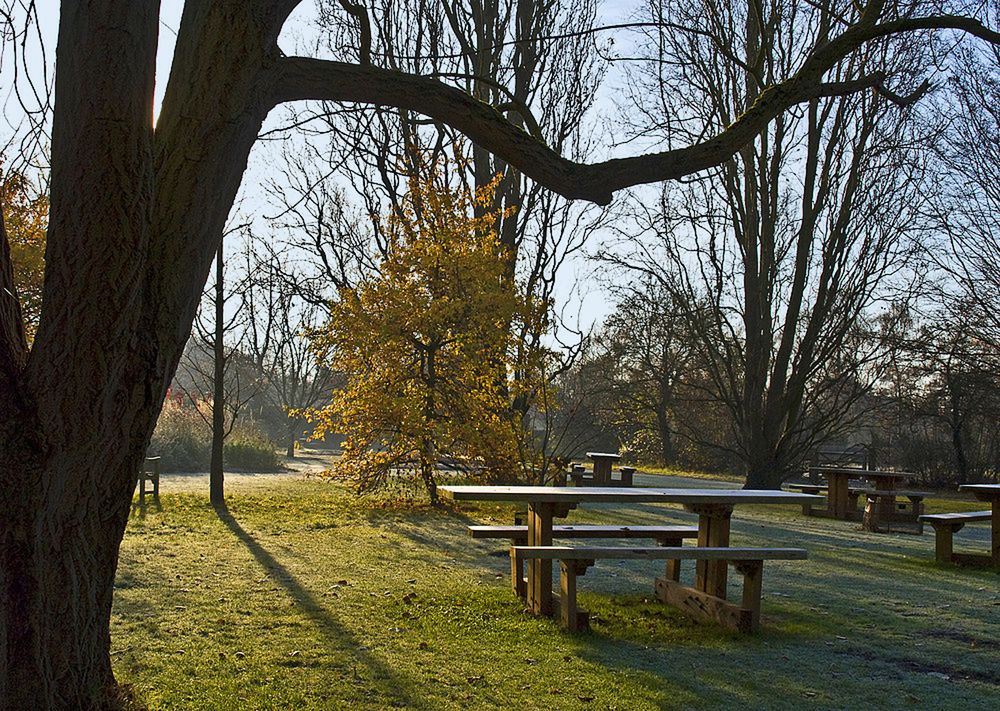 Un peu frais pour le pique-nique  --  Jardin botanique de l’Université de Cambridge