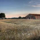 Un pezzo di maremma 2