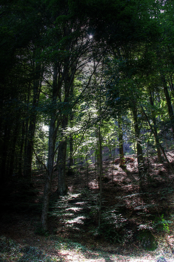 Un pezzo di Monte Amiata