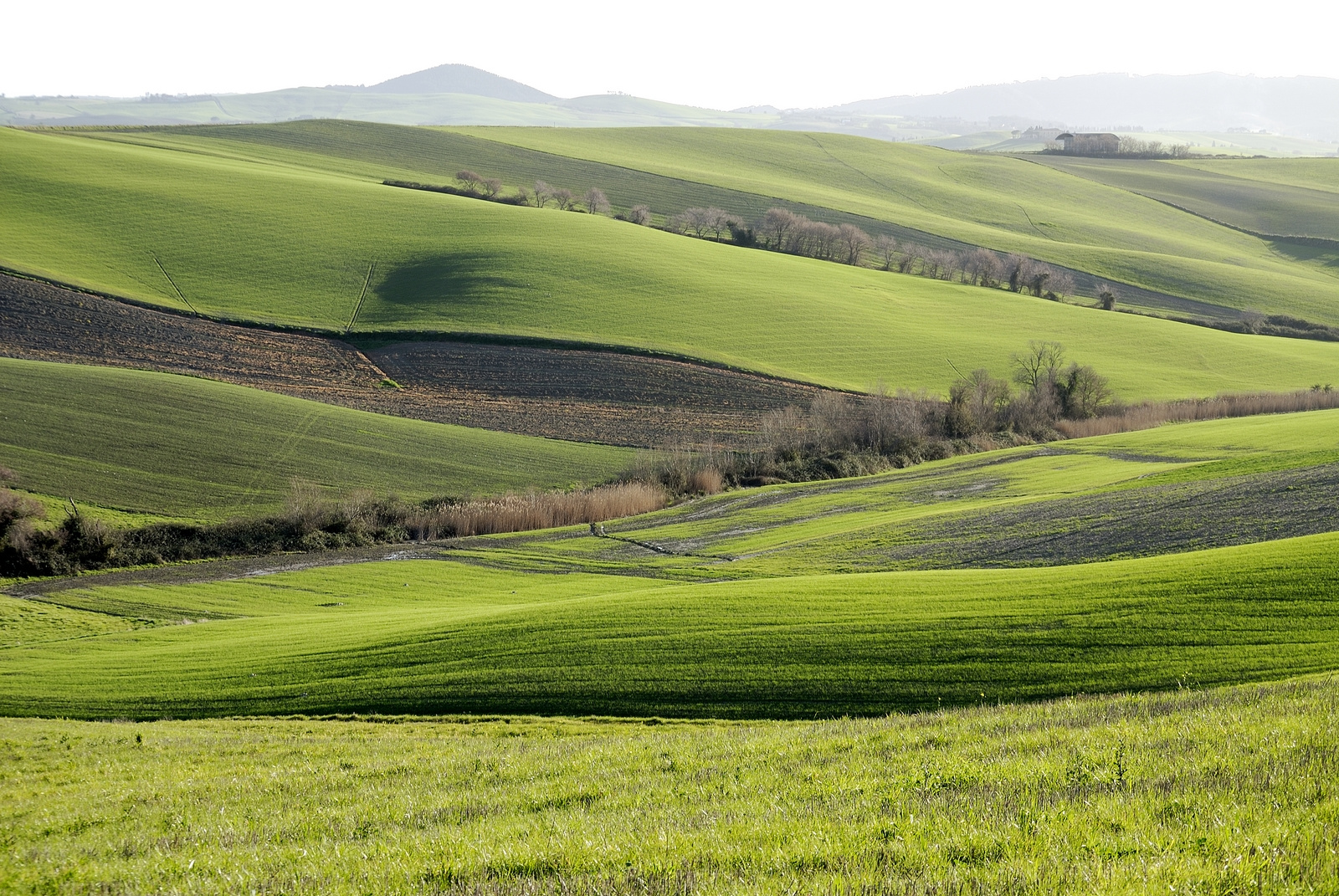 Un pezzo di Toscana