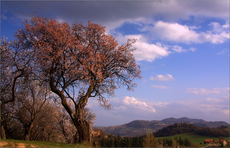 Un piccolo angolo di Paradiso