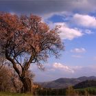 Un piccolo angolo di Paradiso