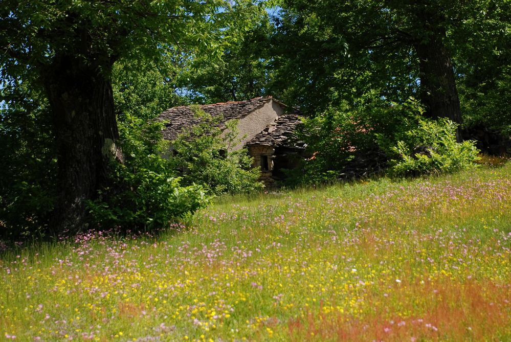 Un piccolo sogno in mezzo al verde.........si puo fare.............