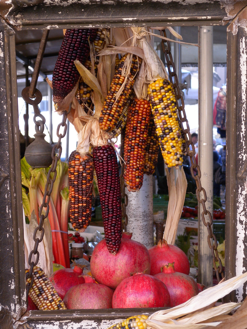 Un pittore a campo de' fiori.