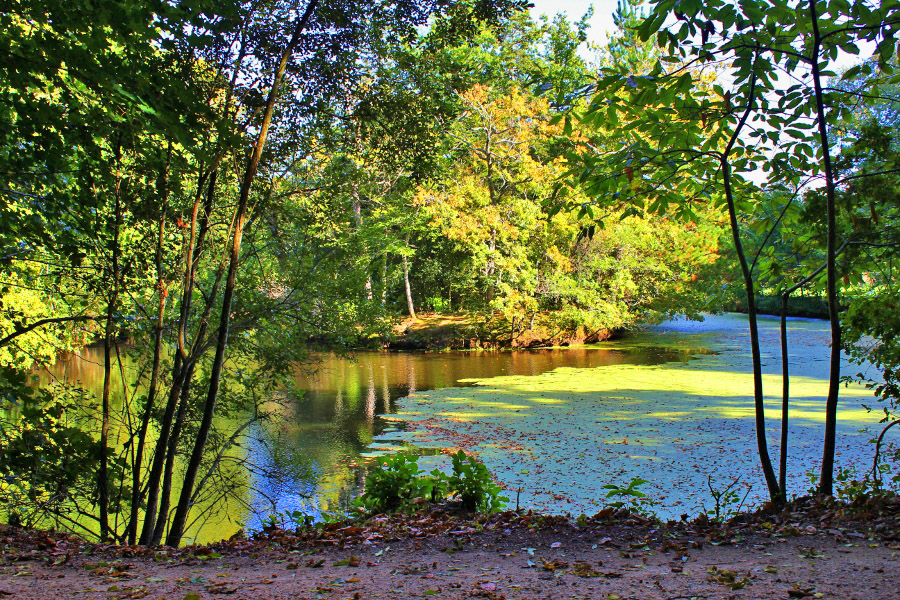 Un plan d'eau dans le parc du château de Keraveon