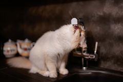 un po’ d’acqua