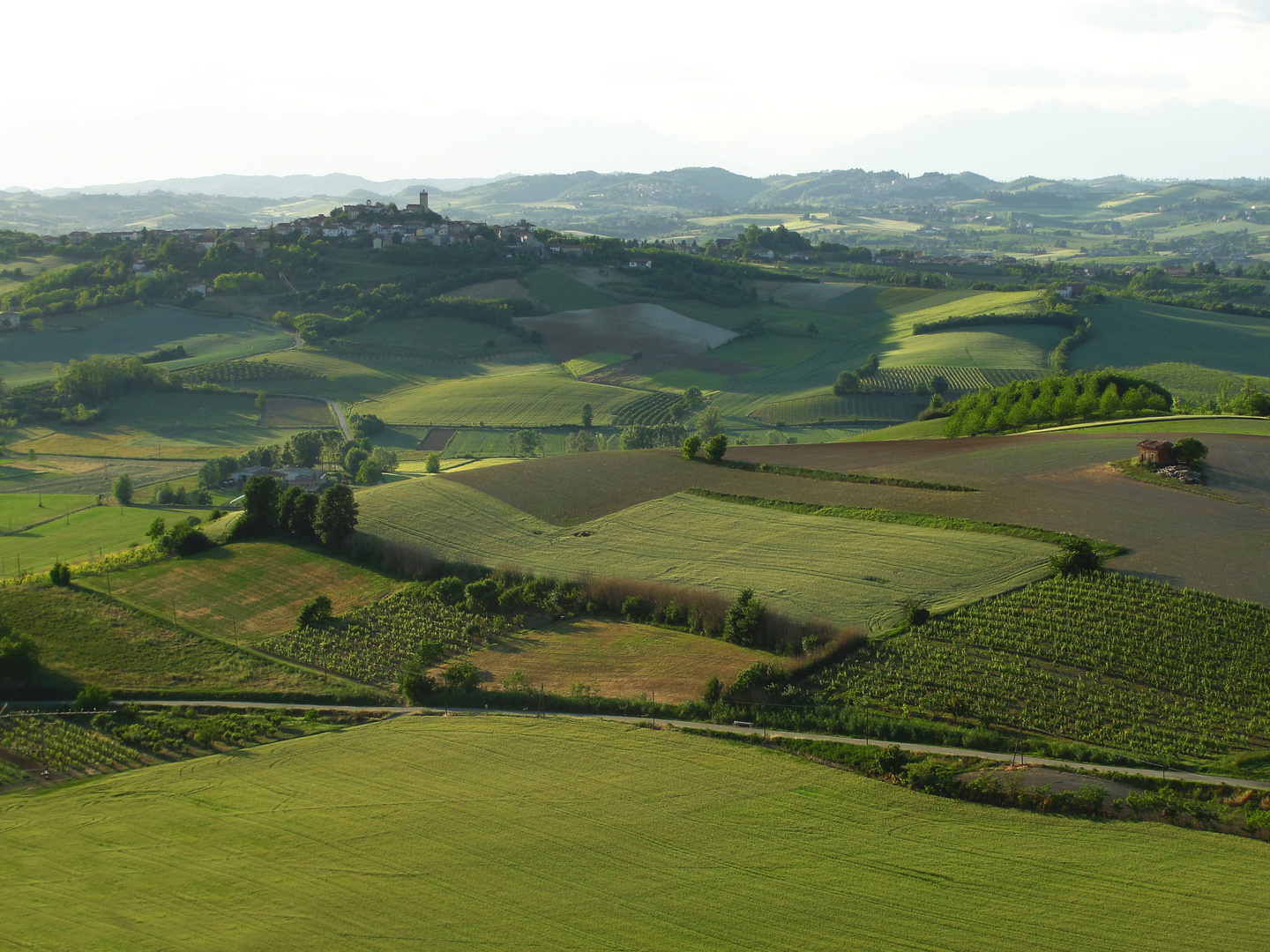 UN PO' DI COLLINE MONFERRINE