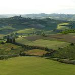 UN PO' DI COLLINE MONFERRINE