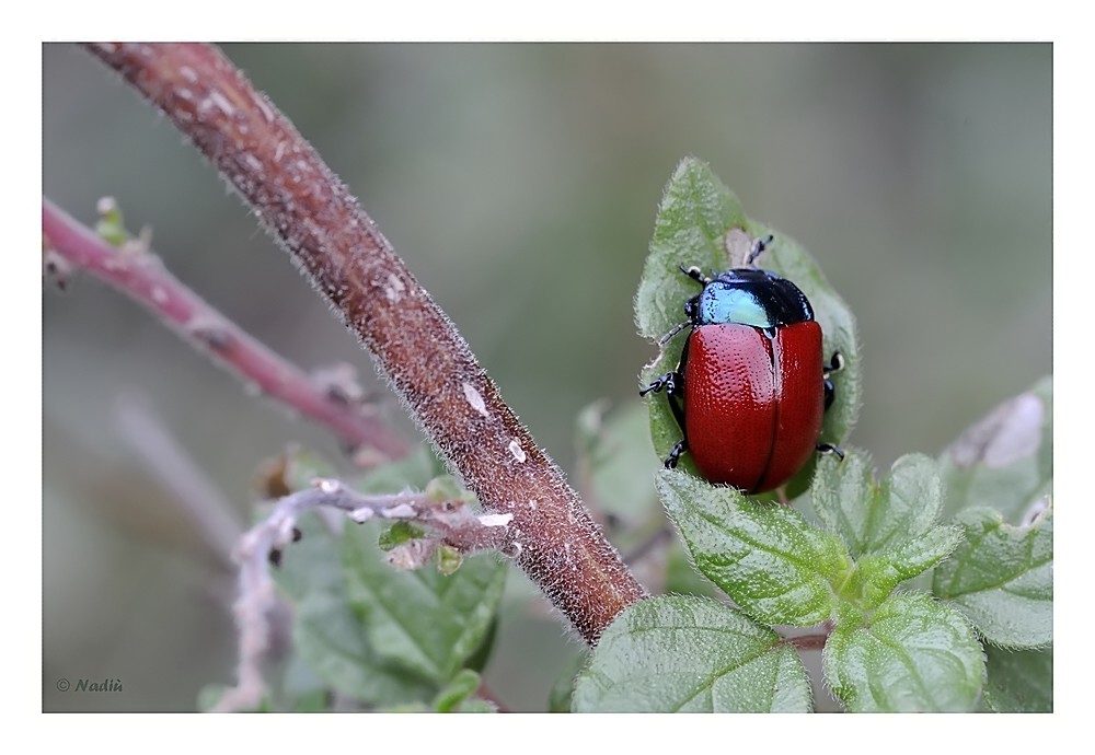 un po di colore...