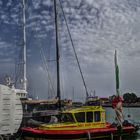 UN PO DI  COLORE  AL  PORTO DI  PESARO