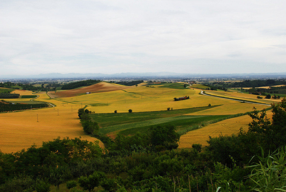 Un po' di "Monferrato" !!