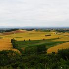 Un po' di "Monferrato" !!