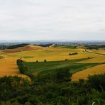 Un po' di "Monferrato" !!