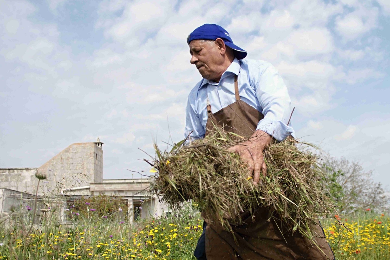 Un po' di pulizia nel campo