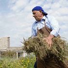 Un po' di pulizia nel campo