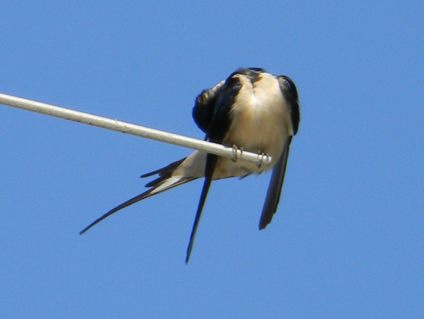 un po' di pulizie...... dopo un grande volo