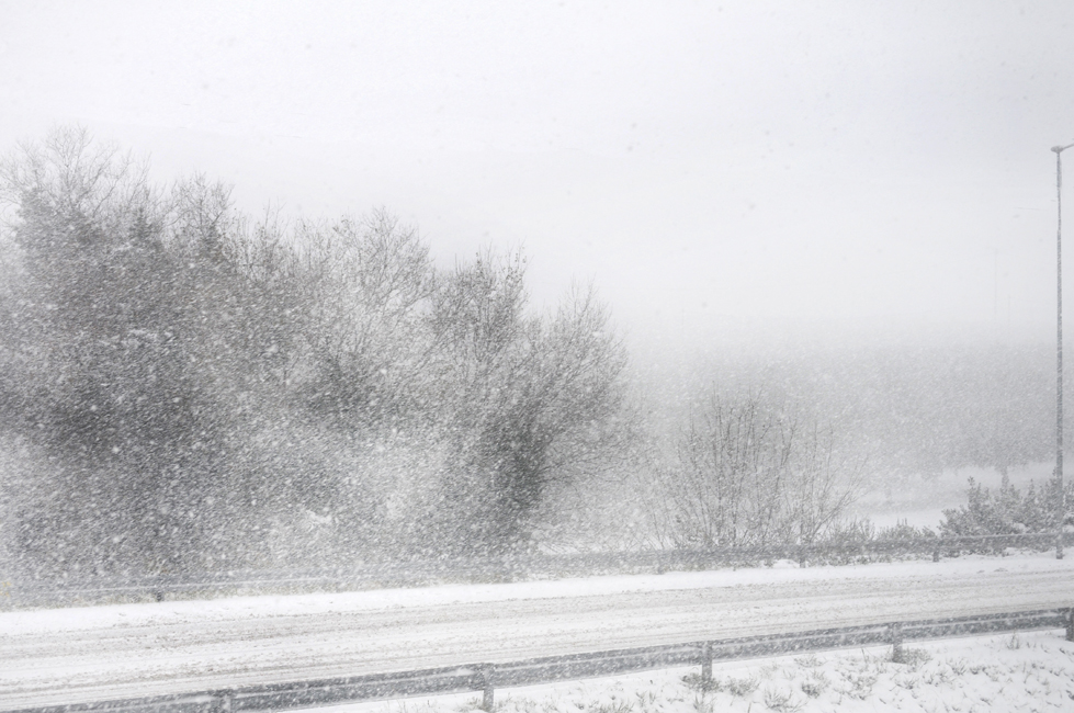 ... un po' di sole, una raggera d'angelo, e poi la nebbia; e gli alberi,..   2