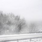 ... un po' di sole, una raggera d'angelo, e poi la nebbia; e gli alberi,..   2