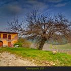 Un pò di Toscana ( Casolare abbandonato ) Poggio alla Malva Prov. Firenze