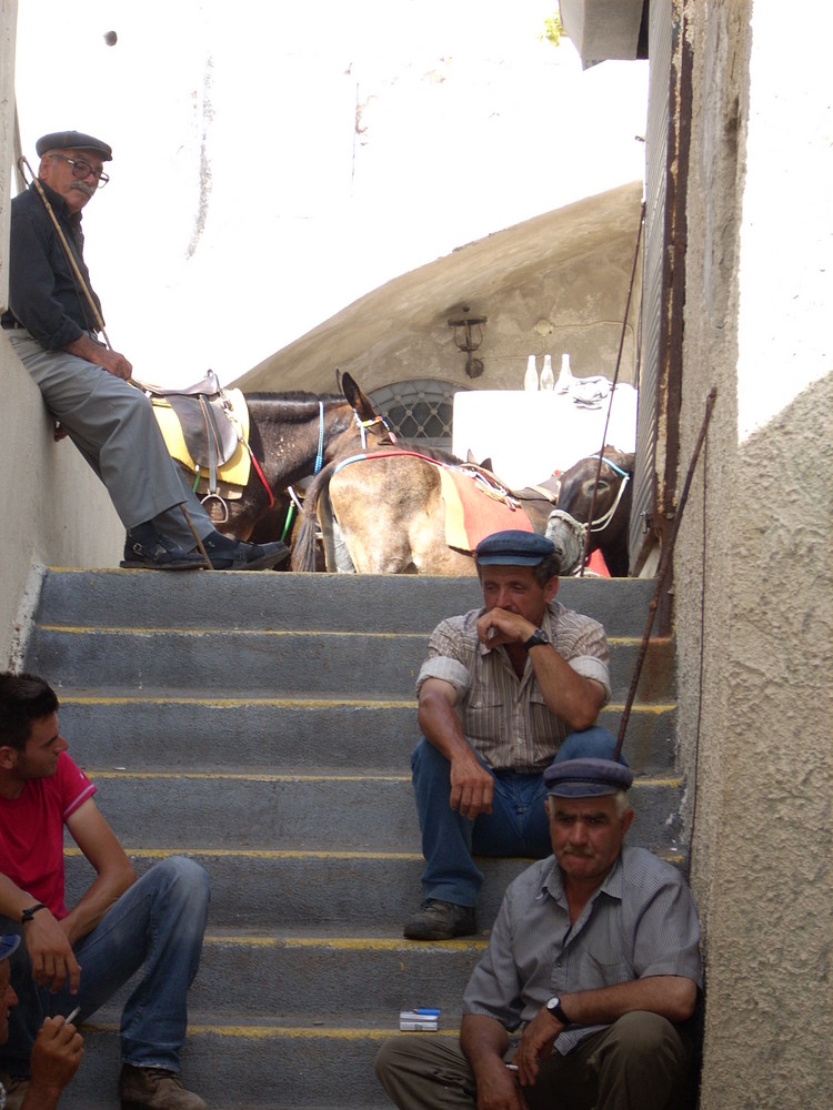 Un pò d'ombra aspettando un'altro lavoro (affitta muli) Santorini