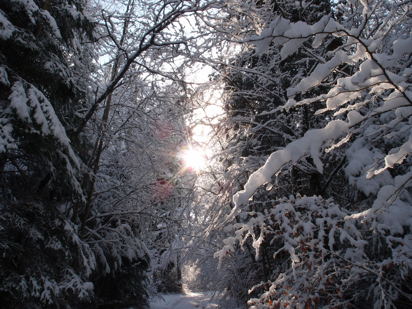 Un poco de calor en medio de tanta nieve