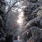 Un poco de calor en medio de tanta nieve