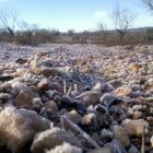 un poco de hielo mañanero