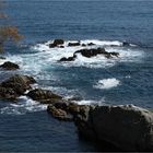 ...un poco de mar...