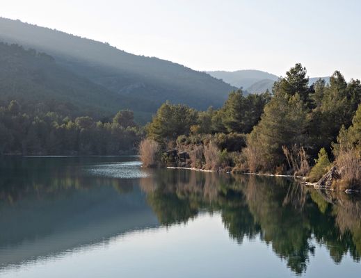 Un poco de niebla y  paz