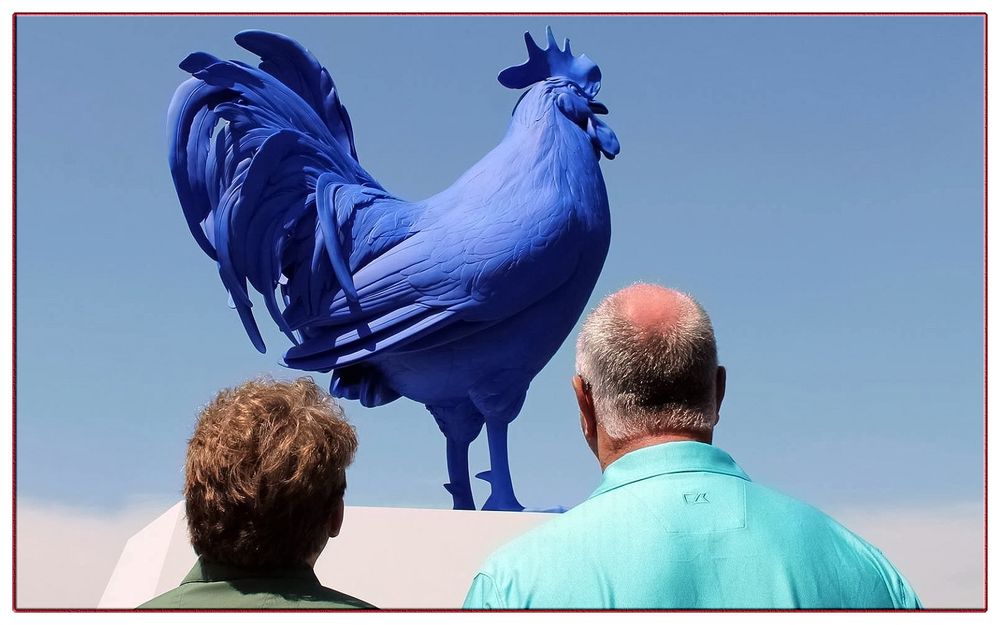 un pollo azul