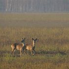 Un pomeriggio di novembre