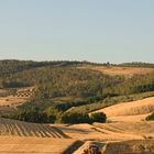 un pomeriggio in campagna per chi lavora