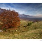 Un pomeriggio nebbioso sulla Majella