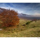 Un pomeriggio nebbioso sulla Majella