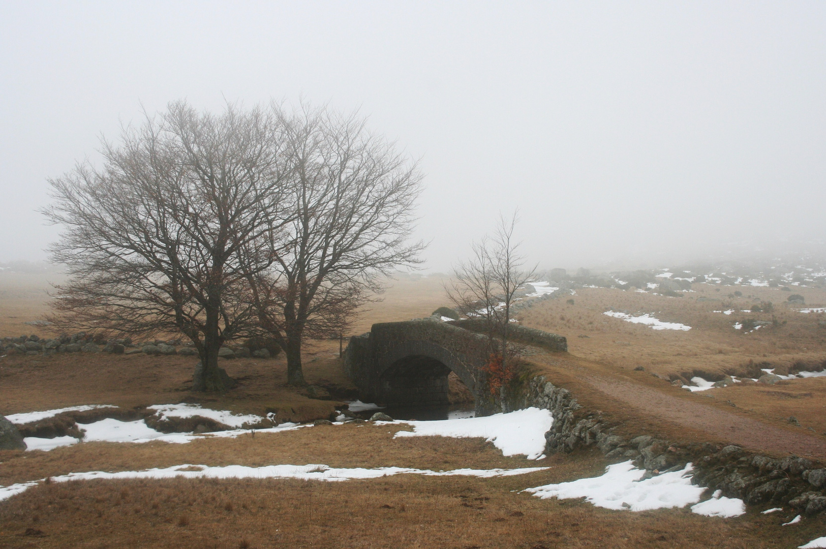 Un pont dans la brume