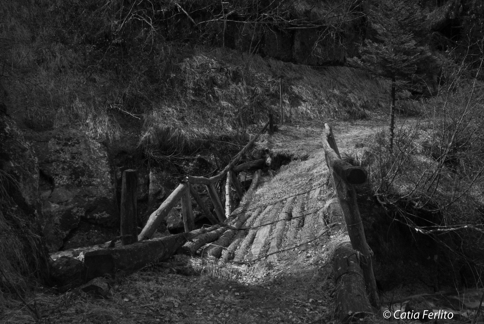 Un ponte su di un fiume